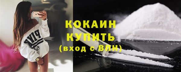 индика Богородск