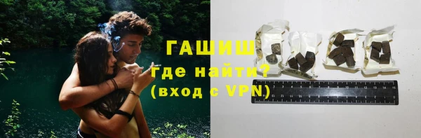 индика Богородск
