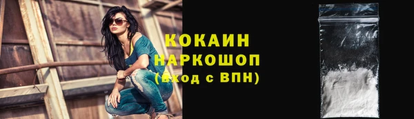 гидра Бронницы