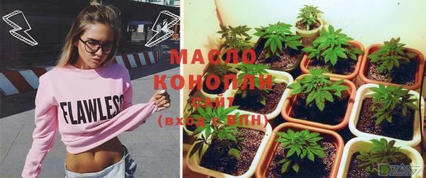 индика Богородск