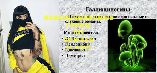 индика Богородск