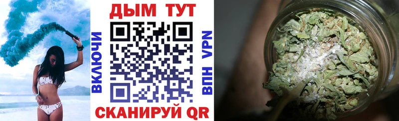 Конопля гибрид  Данилов 